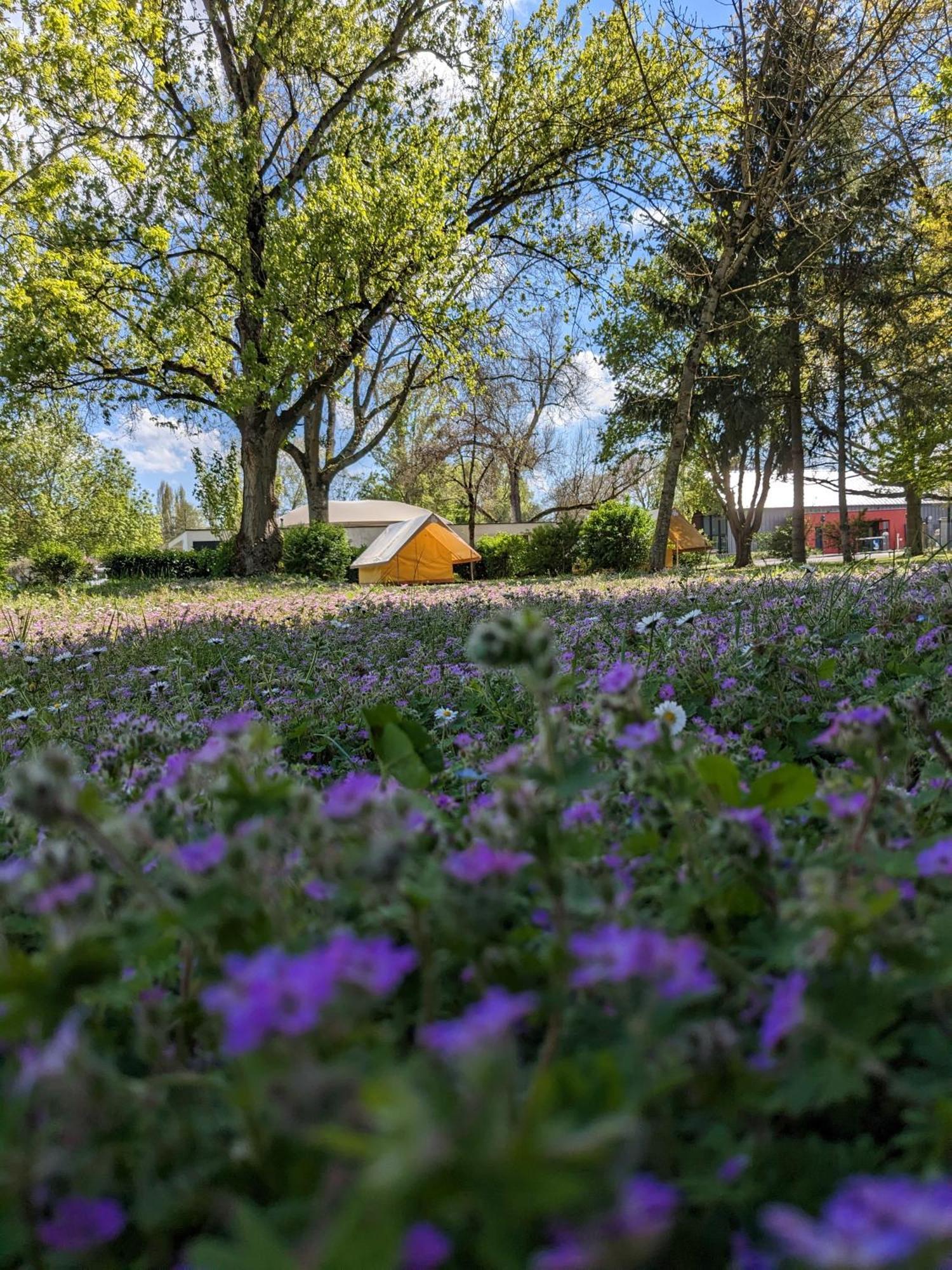 Camping Onlycamp Tours Val De Loire Saint-Avertin Exteriér fotografie